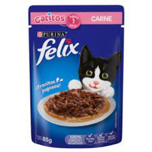 gatitos con carne